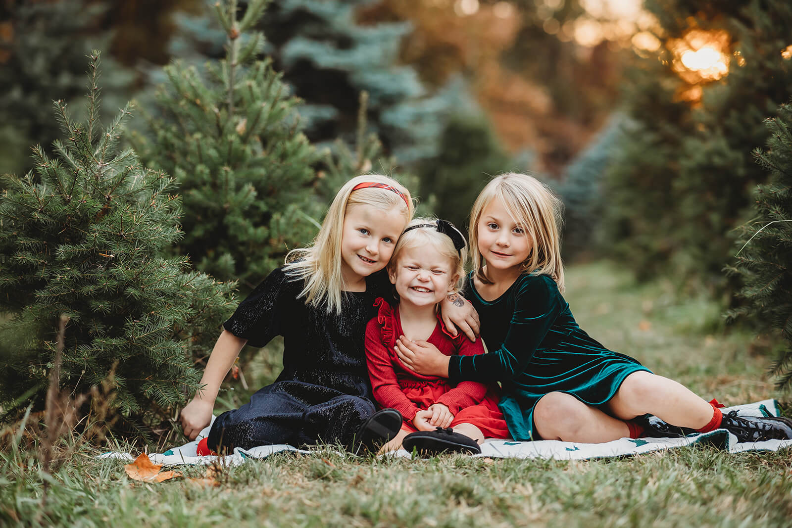 Christmas Tree Farms Around Harrisburg A Look at the Top 6