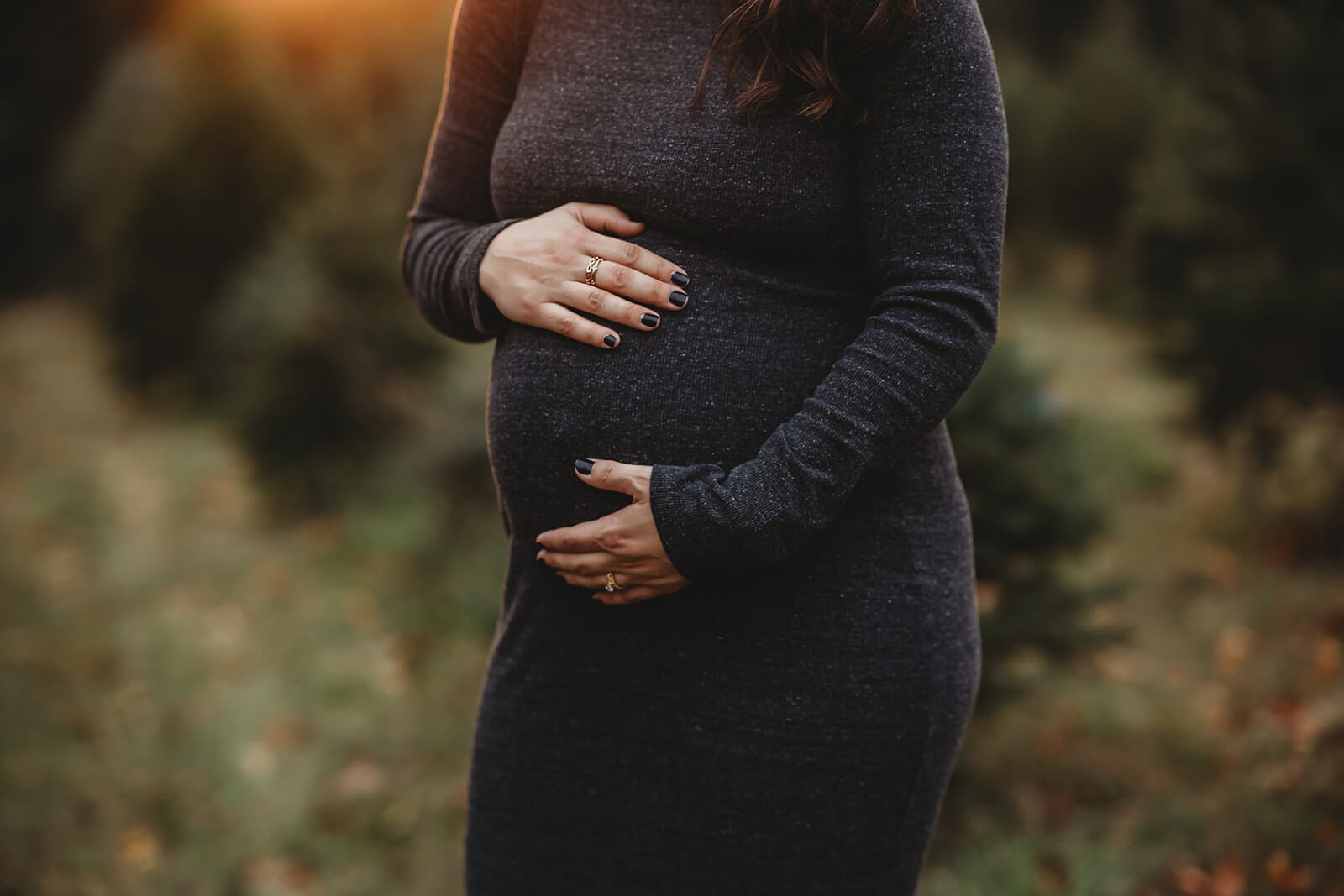 Christmas Tree Farms Around Harrisburg A Look at the Top 6
