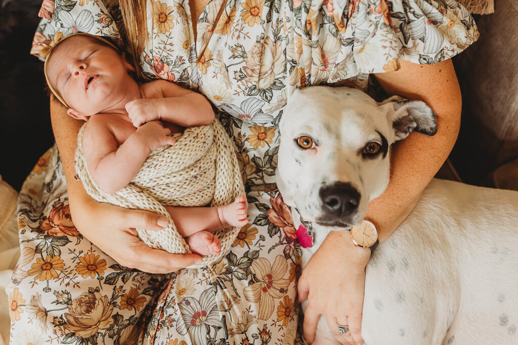 mom snuggling with newborn and dog 