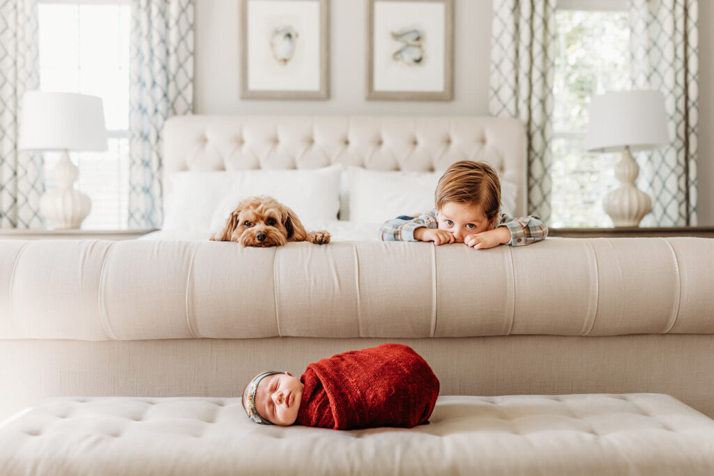 adorable dog being a good boy in a sweet photo with a toddler and newborn thanks to harrisburg dog trainer
