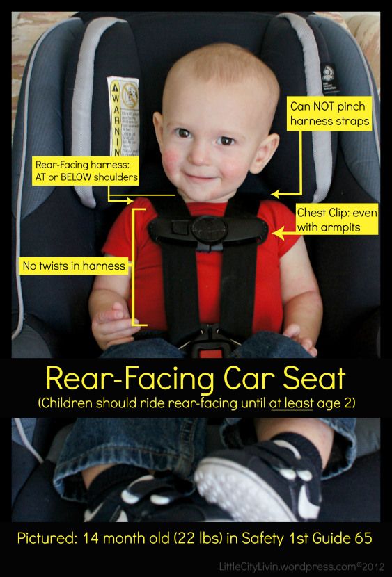 Inforgraphic showing the proper guidelines for a rear facing car seat
