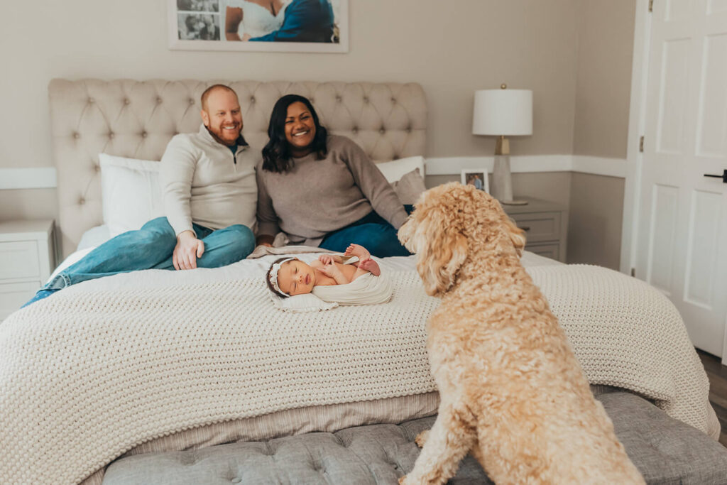 Mom and Dad in their neutral bedroom with newborn baby girl swaddled in cream as their doodle looks over them. 