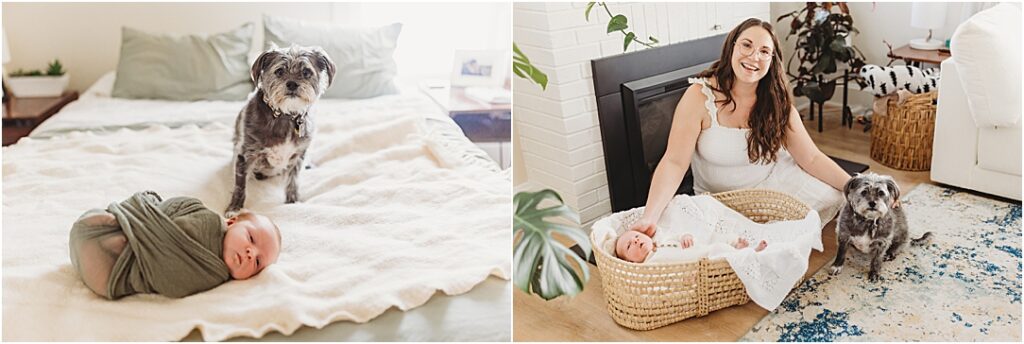 Emmett swaddled on the bed while the family dog stands watch during their Camp Hill in home newborn session.