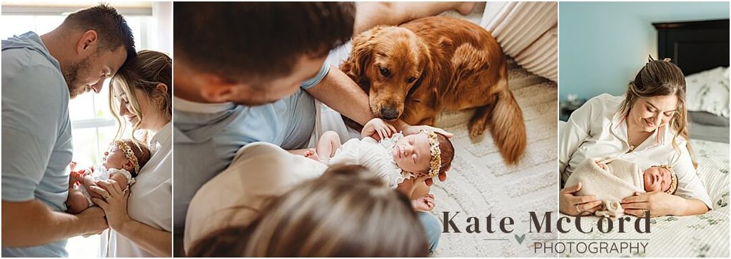 In-home newborn session with parents cuddling their baby girl, including a family moment with their golden retriever.