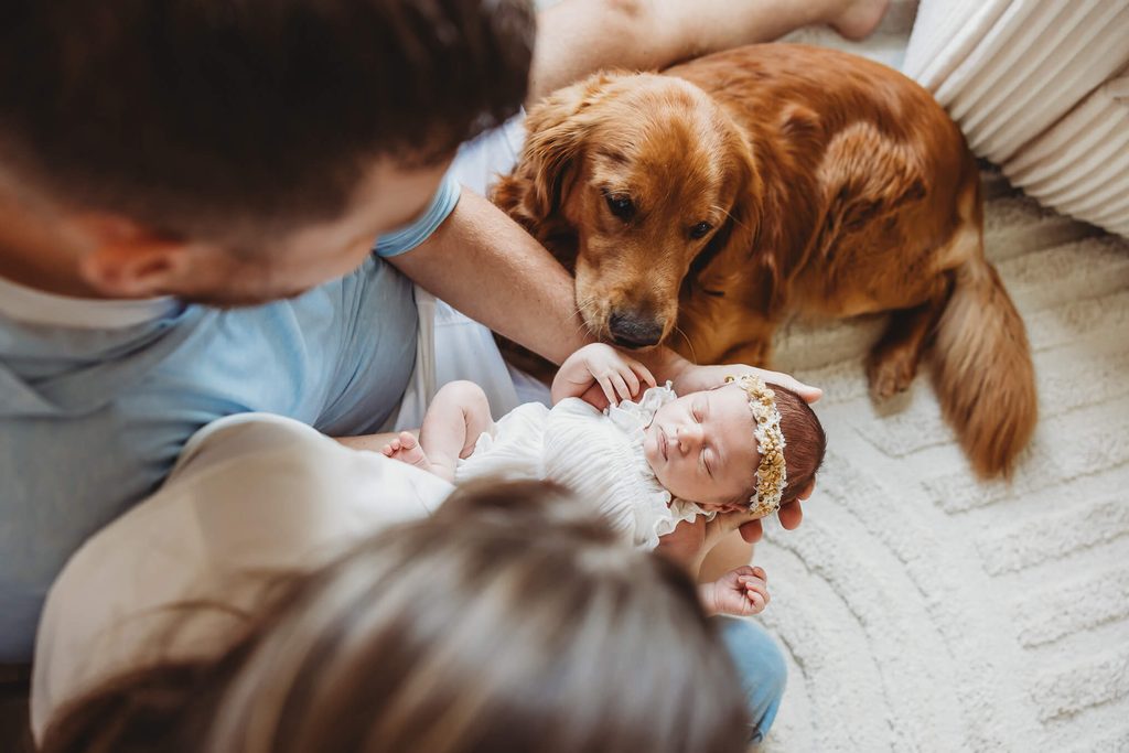 dog looks over newborn baby sweetly in newborn photo session at home